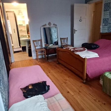 Chez Virginie - Chambre Du Bourg Lourdes Zewnętrze zdjęcie
